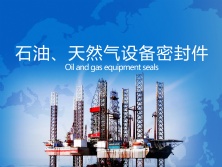 石油、天然氣行業(yè)密封件