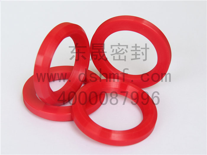 V型圈，密封件產(chǎn)品