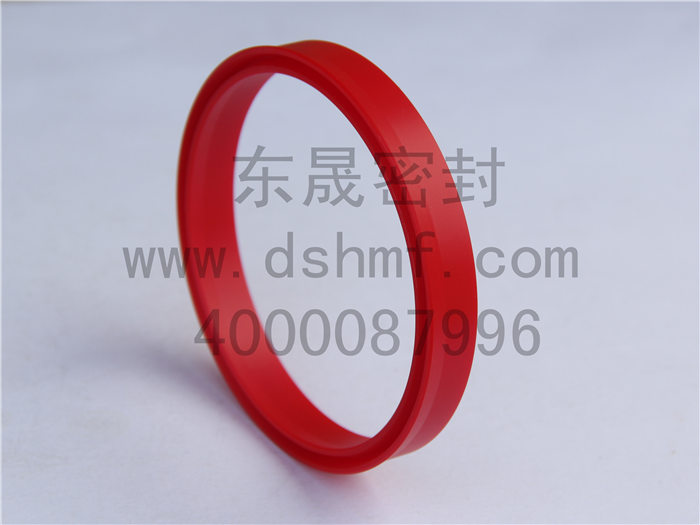 唇型密封圈，密封件，產(chǎn)品