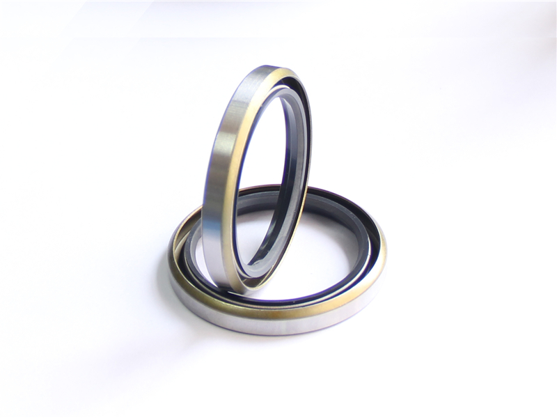 油封，浮動(dòng)，密封件，產(chǎn)品