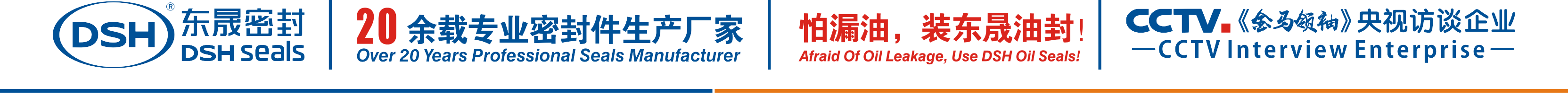 怕漏油，裝東晟油封！