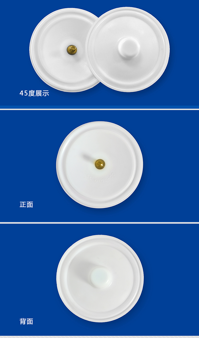 1-700威爾頓耐腐高強(qiáng)度帶螺絲隔膜00-1030-55帶螺絲隔膜大-產(chǎn)品詳情頁-模板_01