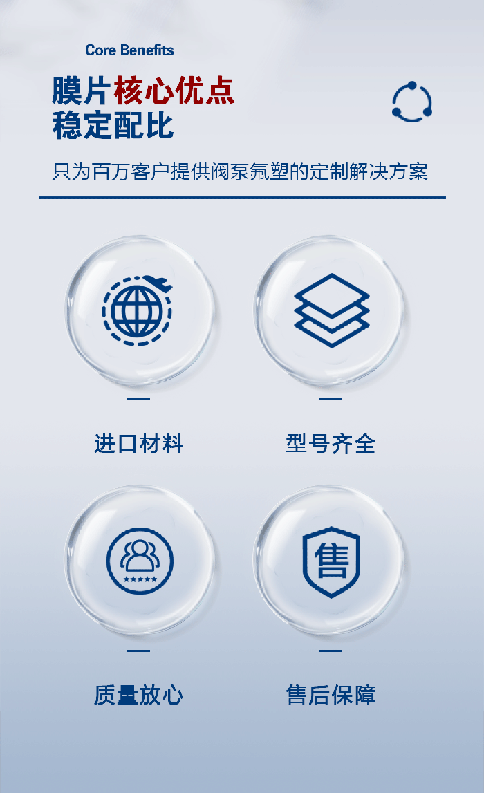 1-計(jì)量泵膜片1-產(chǎn)品詳情頁(yè)進(jìn)口米頓羅計(jì)量泵膜片配件四氟密封件-模板_01
