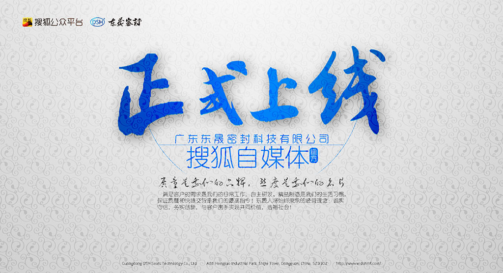 廣東東晟密封科技有限公司官方搜狐自媒體全面上線啦！歡迎您的到來