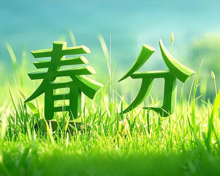 春分啟衡·東晟智封丨0.01毫米的陰陽相濟(jì)之道！