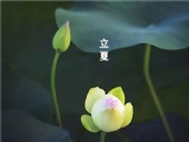 立夏已至，萬物向陽；