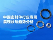 中國密封件行業(yè)發(fā)展現(xiàn)狀與趨勢(shì)分析（2025年）
